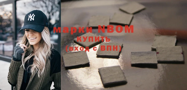 хмурый Надым