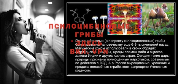таблы Абаза